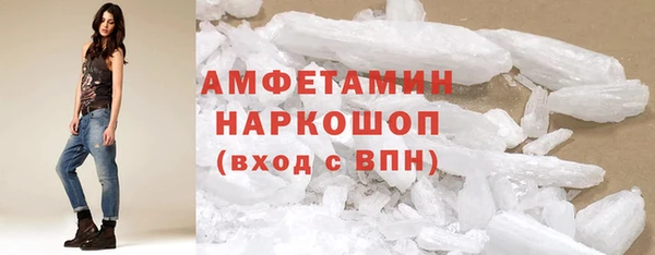 индика Киреевск