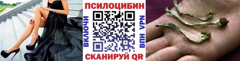 Галлюциногенные грибы Psilocybine cubensis  Губкинский 